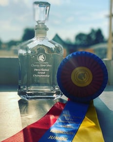 Photo of the Three-Gaited Grand Championship trophy at the 2020 Lexington Junior League Horse Show